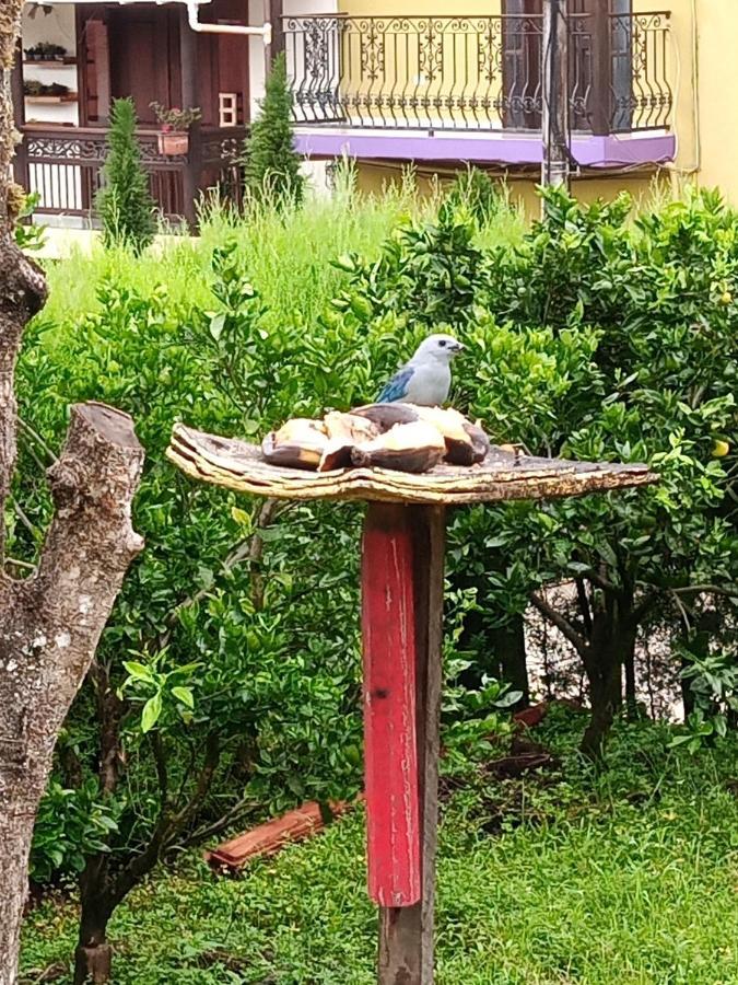 Bird House - Apartament Apartment Jardin Exterior photo