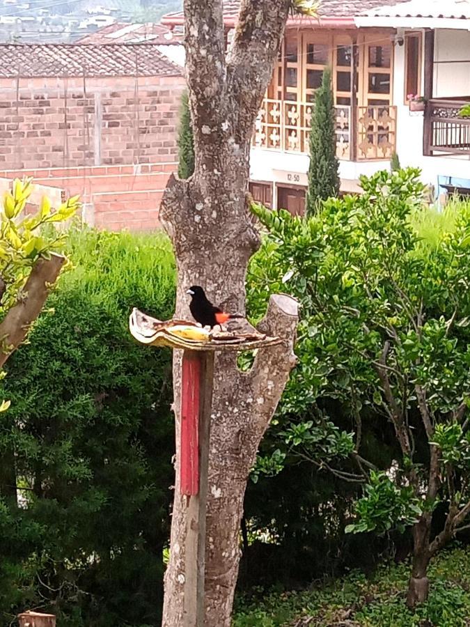 Bird House - Apartament Apartment Jardin Exterior photo