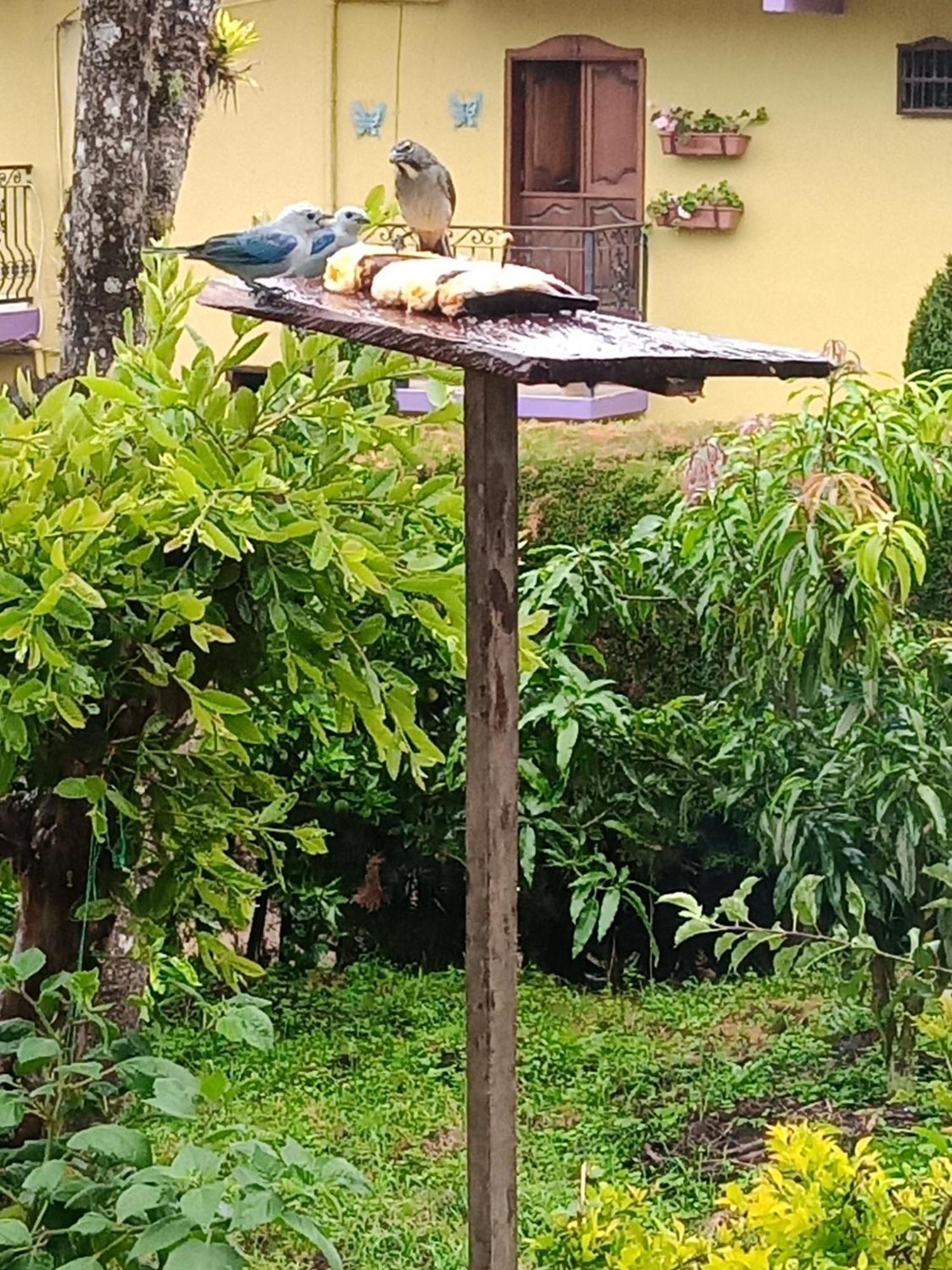 Bird House - Apartament Apartment Jardin Exterior photo