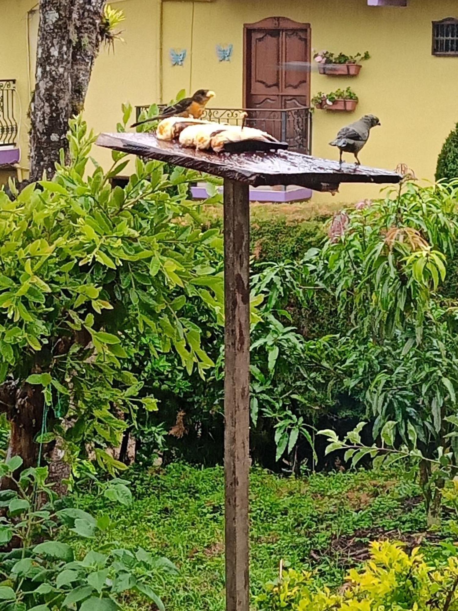 Bird House - Apartament Apartment Jardin Exterior photo